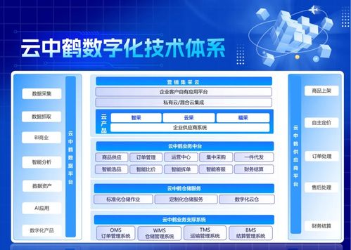 数字化采购的第三赛道 云中鹤如何领航万亿级市场的营销创变